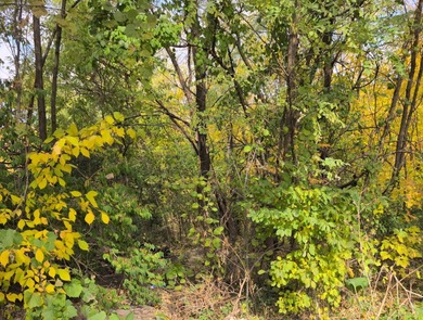 (private lake, pond, creek) Lot For Sale in Joliet Illinois