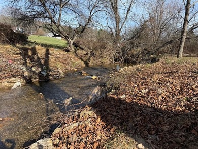 (private lake, pond, creek) Acreage For Sale in Galax Virginia