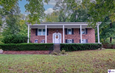 Lake Home For Sale in Brandenburg, Kentucky