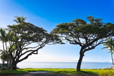One-of-a-kind Beachfront property in Prime Maalaea neighborhood - photo 2