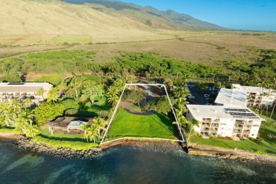 One-of-a-kind Beachfront property in Prime Maalaea neighborhood - photo 7