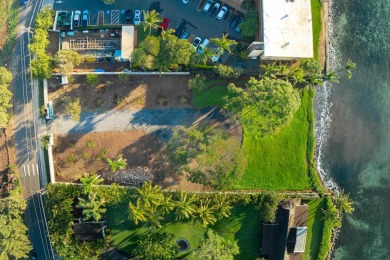 One-of-a-kind Beachfront property in Prime Maalaea neighborhood - photo 9