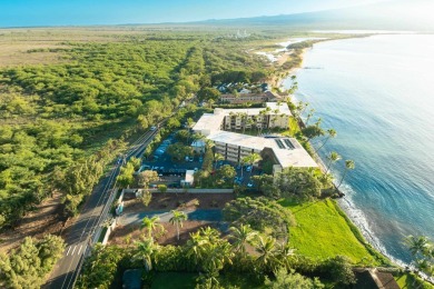 One-of-a-kind Beachfront property in Prime Maalaea neighborhood - photo 10