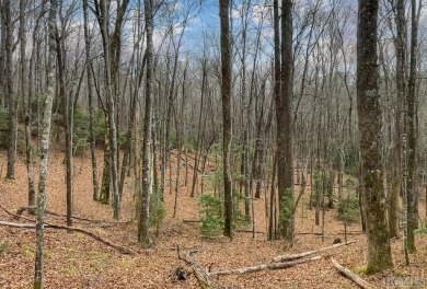 Hogback Lake Lot For Sale in Sapphire North Carolina