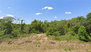 Lake Lot For Sale in Lake Placid, Florida