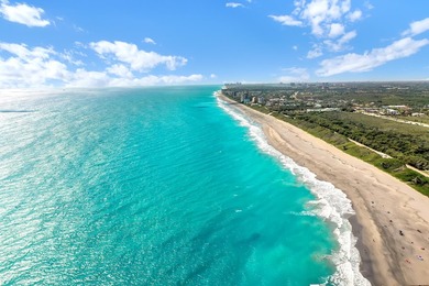 Welcome to The River at The Bluffs in the heart of Jupiter. This - photo 3