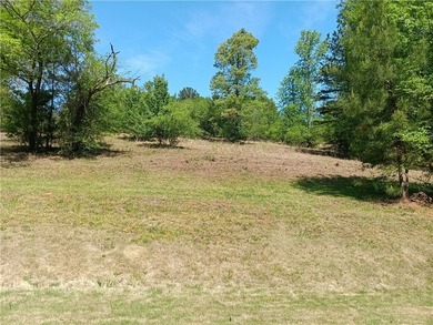 Embrace a rare opportunity to own a piece of Lake Keowee - photo 1