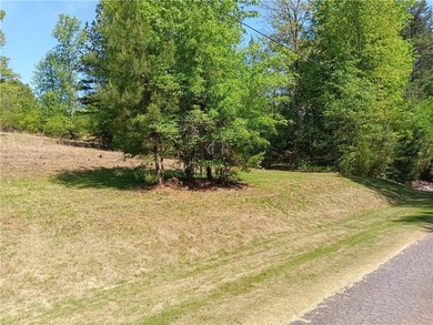 Embrace a rare opportunity to own a piece of Lake Keowee - photo 2