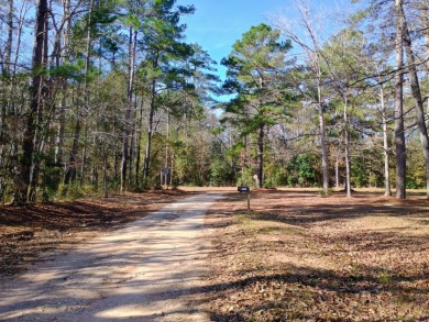 Private Lake Community, Older Mobile Home SOLD - photo 30
