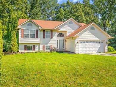 Welcome home to this spacious bi-level with a walkout lower - photo 1