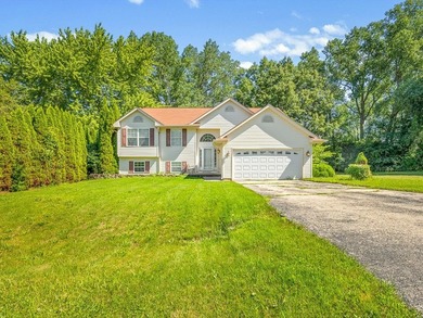 Welcome home to this spacious bi-level with a walkout lower - photo 3