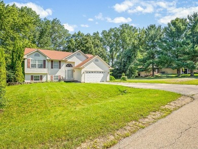 Welcome home to this spacious bi-level with a walkout lower - photo 4