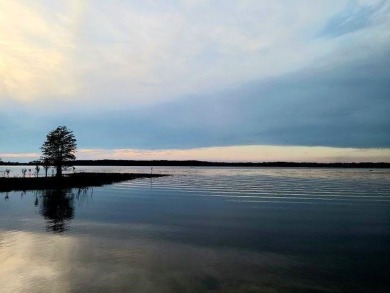 Lake Lot For Sale in Brookeland, Texas