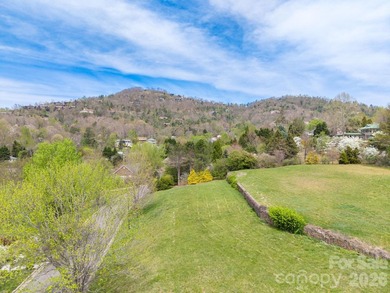 Wonderful building opportunity in a prime North Asheville - photo 2