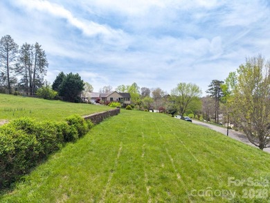 Wonderful building opportunity in a prime North Asheville - photo 7