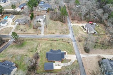 Beautiful home offering 3,876 total finished sqft with 2,388 on - photo 50