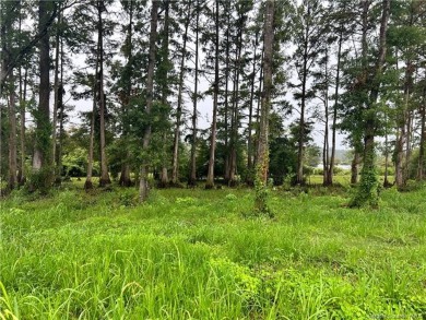 Lake Lot For Sale in Zwolle, Louisiana