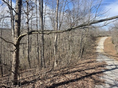 Spacious, almost an acre and a half lot. If you enjoy hiking, it - photo 3