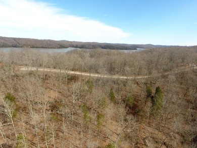 Spacious, almost an acre and a half lot. If you enjoy hiking, it - photo 4
