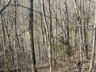 Spacious, almost an acre and a half lot. If you enjoy hiking, it - photo 5