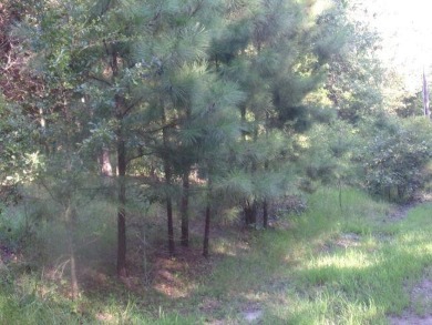 Callender Lake Lot For Sale in Murchison Texas