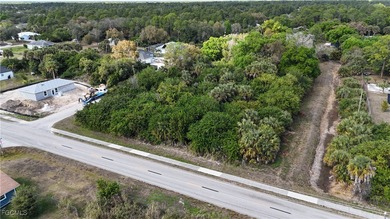 Lehigh Acres Area Lot For Sale in Lehigh Acres Florida