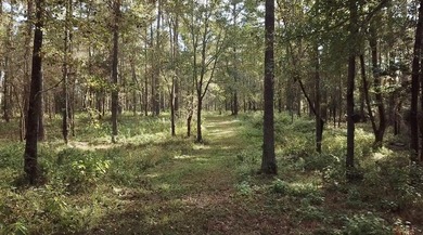 If you are looking for privacy and stunning scenery, look no - photo 11