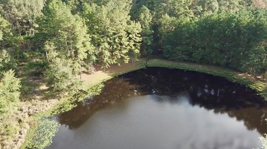 If you are looking for privacy and stunning scenery, look no - photo 13