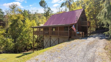 Lake Home For Sale in Sevierville, Tennessee