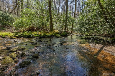 Lake Osseroga Lot For Sale in Highlands North Carolina