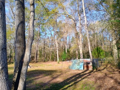Private Lake Community, Older Mobile Home SOLD - photo 24
