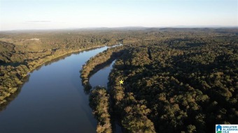 Coosa River - St. Clair County Acreage For Sale in Lincoln Alabama