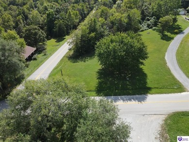 Lake Lot For Sale in Falls Of Rough, Kentucky