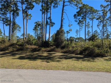 Lehigh Acres Area Lot For Sale in Lehigh Acres Florida