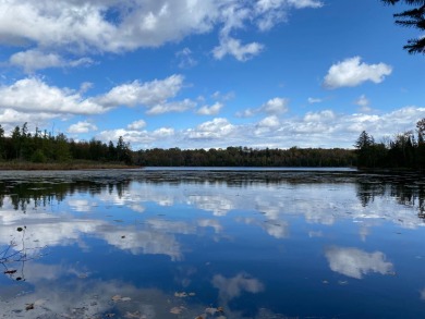 Little Horsehead Lake Acreage For Sale in Presque Isle Wisconsin