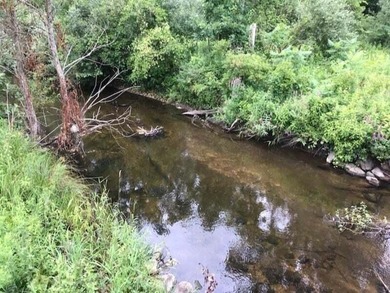 Lake Acreage For Sale in Cedar Springs, Michigan