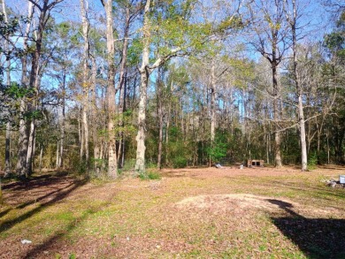 Private Lake Community, Older Mobile Home SOLD - photo 25