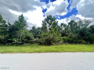 Port Charlotte Waterway Lakes Area Lot For Sale in Port Charlotte Florida