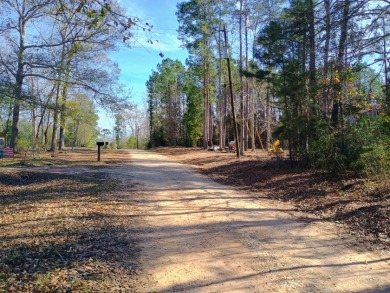 Private Lake Community, Older Mobile Home SOLD - photo 29