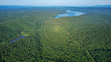 A recreational paradise located in the heart of Arkansas. From - photo 2