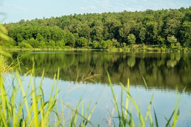 A recreational paradise located in the heart of Arkansas. From - photo 3