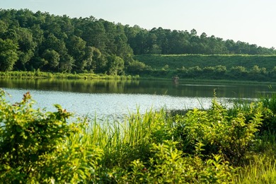 A recreational paradise located in the heart of Arkansas. From - photo 4