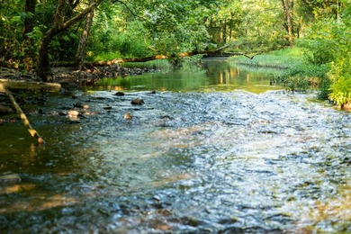 A recreational paradise located in the heart of Arkansas. From - photo 5