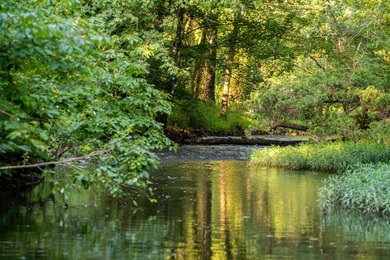 A recreational paradise located in the heart of Arkansas. From - photo 6
