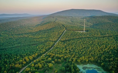 A recreational paradise located in the heart of Arkansas. From - photo 7