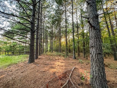 A recreational paradise located in the heart of Arkansas. From - photo 8