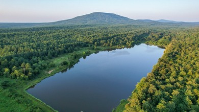 A recreational paradise located in the heart of Arkansas. From - photo 10