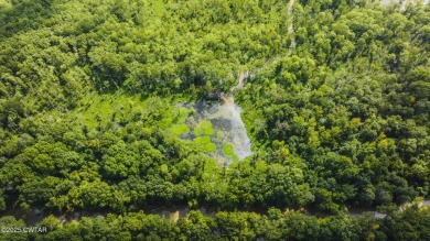 Lake Acreage For Sale in Trenton, Tennessee