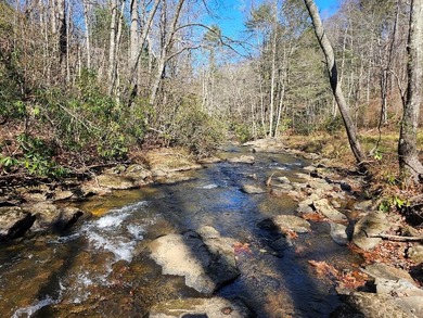 (private lake, pond, creek) Home For Sale in Woodlawn Virginia
