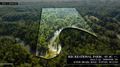 Lake Acreage For Sale in Trenton, Tennessee